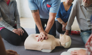 Training - 1 day First Aid